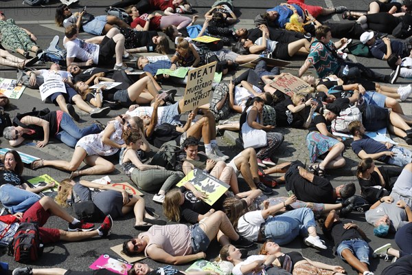 Mass die In, at the Official Animal Rights March demo at Rosenthaler Platz in Berlin. The Animal Rights March is a demonstration of the vegan community for animal protection and animal rights, 25 August 2019