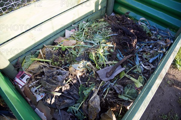 Organic vegetable matter decomposing in compost bin