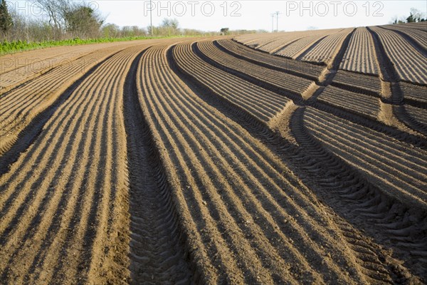 Patterns in soil prepared for sowing crops, Alderton, Suffolk, England, United Kingdom, Europe