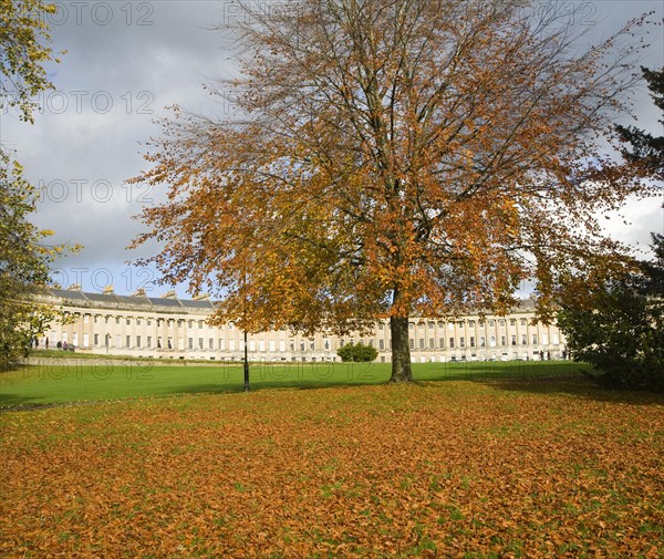 Autumn tree colours at The Royal Crescent, architect John Wood the Younger built between 1767 and 1774, Bath, Somerset, England, United Kingdom, Europe