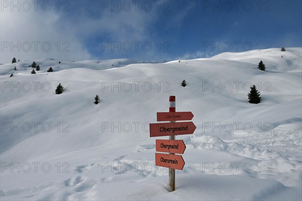 Winter landscape in the Beverin nature park Park, Graubuenden, Switzerland, Europe