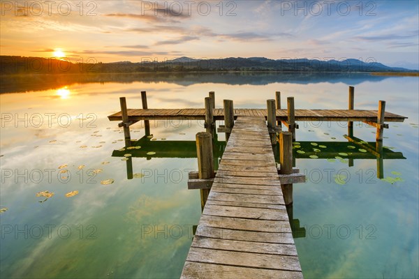 Wooden footbridge on Lake Pfaeffikon at sunrise, Pfaeffikon, Canton Zurich, Switzerland, Europe