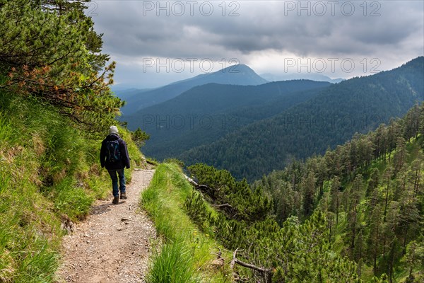A hiker explores a mountain path surrounded by dense forests under a cloudy sky, Herzogstand, Bavaria