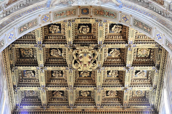 Cassette ceiling in the nave, Cathedral of Santa Maria Assunta, Pisa, Tuscany, Italy, Europe