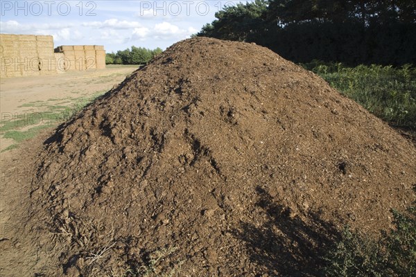 Large pile of organic compost material to be used in farming, Alderton, Suffolk, England, United Kingdom, Europe