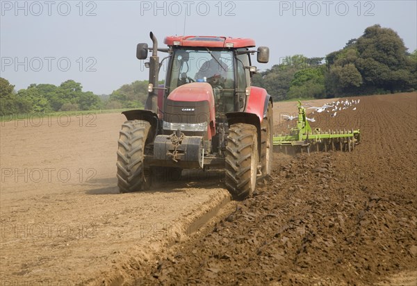 Tractor harrowing soil in field in preparation for planting, Shottisham, Suffolk, England, United Kingdom, Europe