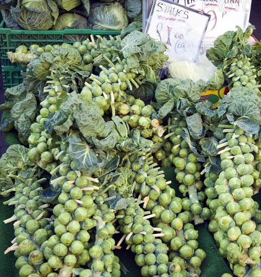 Stalks brussel sprouts on sale market stall priced Â£1.00