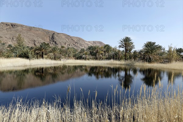 An oasis in the middle of Iran's central desert, Gameh, 12.03.2019