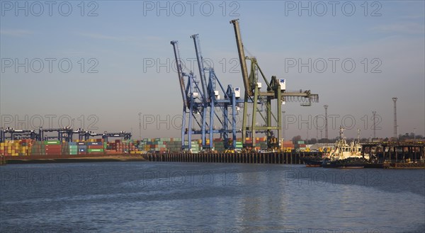 Container cranes on the quayside, Port of Felixstowe, Suffolk, England, United Kingdom, Europe