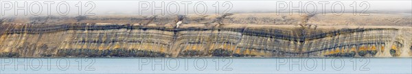 Sea cliff showing limestone and sandstone strata from the Permian period along the Hinlopen Strait, Hinlopenstretet, Spitsbergen, Svalbard, Norway, Europe