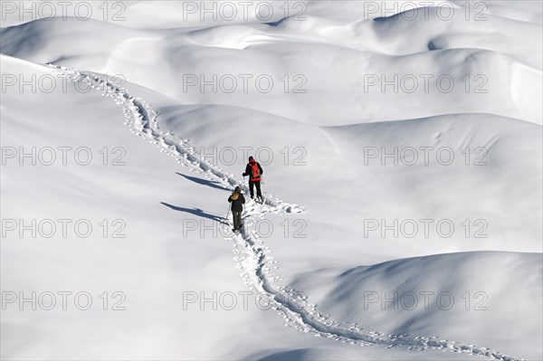 Snowshoe hiking in the Beverin nature park Park, Graubuenden, Switzerland, Europe