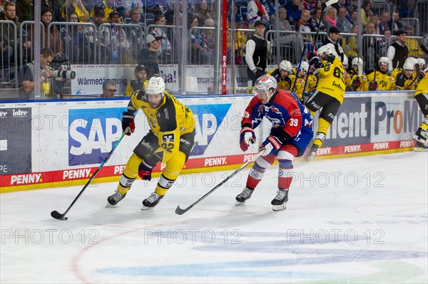 23.02.2024, DEL, German Ice Hockey League, 48th matchday) : Adler Mannheim (yellow jerseys) against Nuremberg Ice Tigers (blue jerseys) . Matthias Plachta (22, Adler Mannheim) on his way to the Nuremberg Ice Tigers goal. Ian Scheid (39, Nuremberg Ice Tigers) holds against him