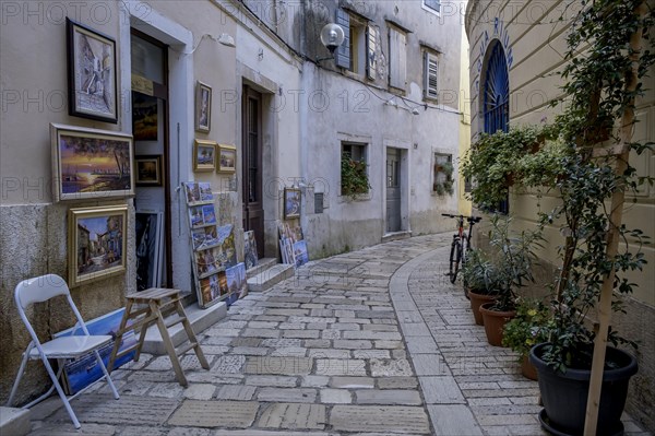 Old town alley with a picture gallery and plants, Old Town Porec, Istria, Croatia, Europe