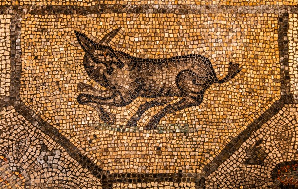 Mosaics, crypt of the excavations from the 4th century, Crypta degli Scavi, Basilica of Aquileia from the 11th century, largest floor mosaic of the Western Roman Empire, UNESCO World Heritage Site, important city in the Roman Empire, Friuli, Italy, Aquileia, Friuli, Italy, Europe