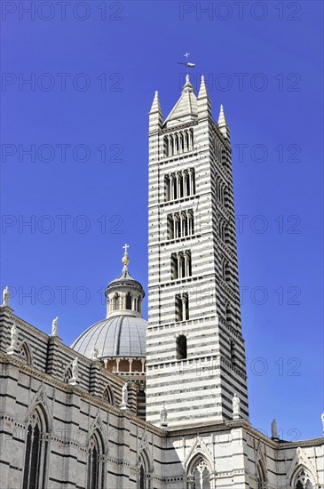Siena Cathedral, also known as Duomo Santa Maria Assunta, Siena, Tuscany, Italy, Europe