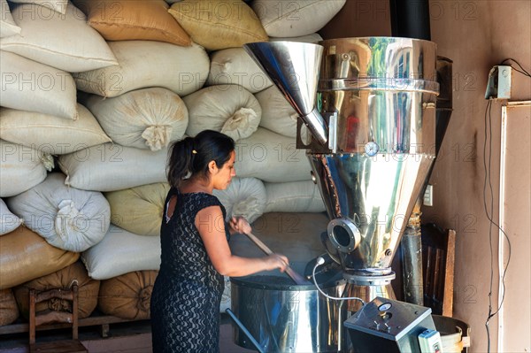 A woman roasting coffee beans on a coffee plantation, Pluma Hidalgo, Pochutla, Oxaca state, Sierra Madre del Sur, Mexico, Central America