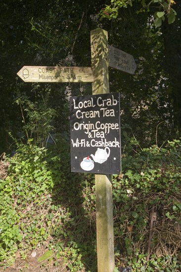 Coast path footpath direction marker post with advert for cream teas, Helford, Cornwall, England, United Kingdom, Europe