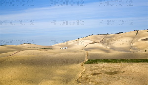 Farming landscape in rural Cadiz province near El Gastor village, Spain, Europe