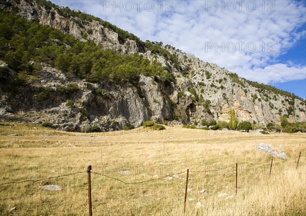 Landscape in Sierra de Grazalema natural park, Cadiz province, Spain, Europe