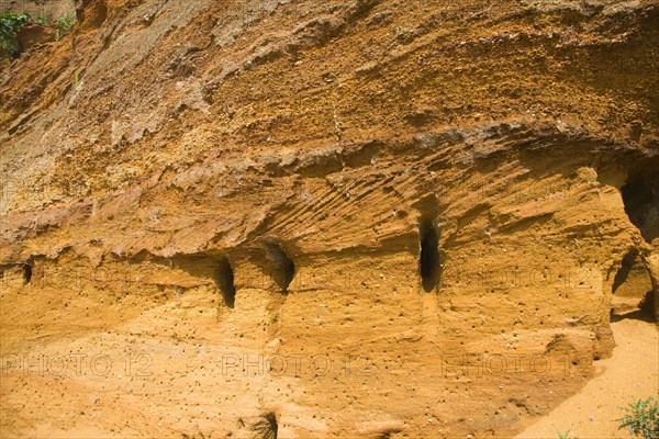 Red crag rock exposed at Buckanay Pit quarry, Alderton, Suffolk, England, United Kingdom, Europe