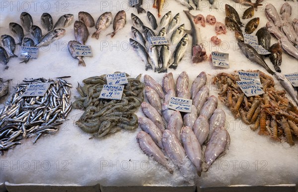 Display of fresh fish and seafood on ice, fishmonger, food, Kapani Market, Vlali, Thessaloniki, Macedonia, Greece, Europe