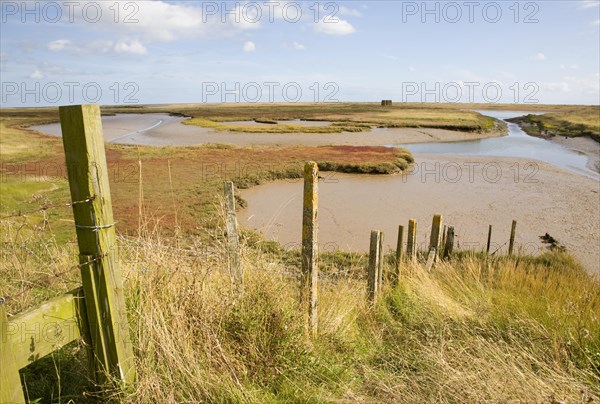 Mudflats and saltings vegetation on the tidal River Ore behind Orford ness shingle spit, Suffolk, England, United Kingdom, Europe