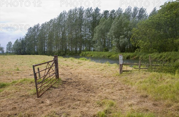 River Waveney valley landscape at Geldeston, Suffolk Norfolk border, England, United Kingdom, Europe