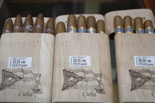 Selection of original Cuban cigars, tourist shop, Santa Clara, Cuba, Central America, America, Central America
