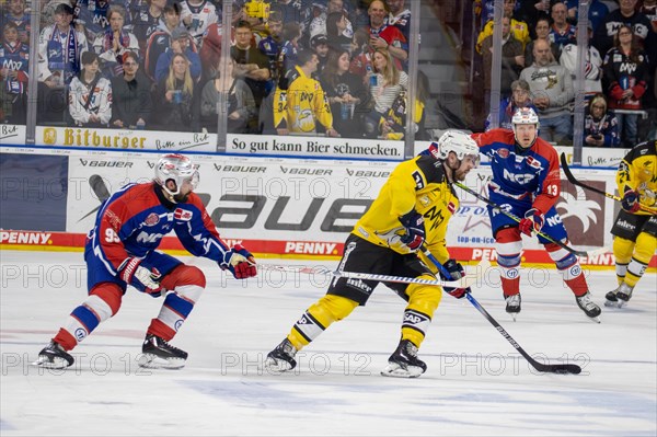 23.02.2024, DEL, German Ice Hockey League, 48th matchday) : Adler Mannheim (yellow jerseys) against Nuremberg Ice Tigers (blue jerseys) . Joran Murray (8, Adler Mannheim) on his way to the opponent's goal