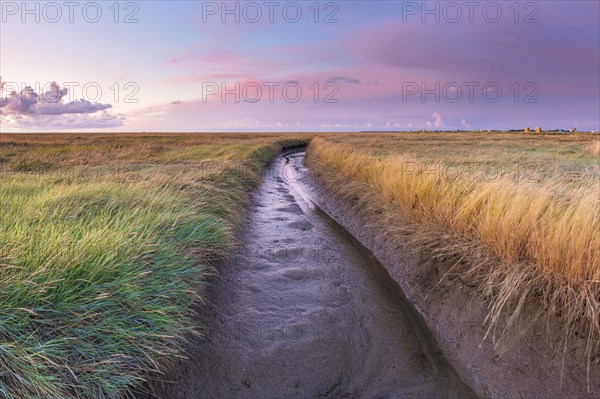 Moat in the polder area on the North Sea, landscape format, evening light, sunset, Dorum, Landwursten, North Sea coast, Lower Saxony, Germany, Europe