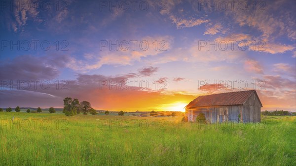 An old hut stands in a meadow in the sunset, panorama, landscape format, evening light, landscape photography, Bockenem, Hildesheim, Lower Saxony, Germany, Europe