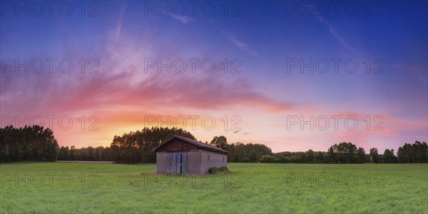 Barn in a meadow, sunset, evening light, panorama, landscape, Eilvese, Neustadt am Ruebenberge, Hanover, Lower Saxony, Germany, Europe