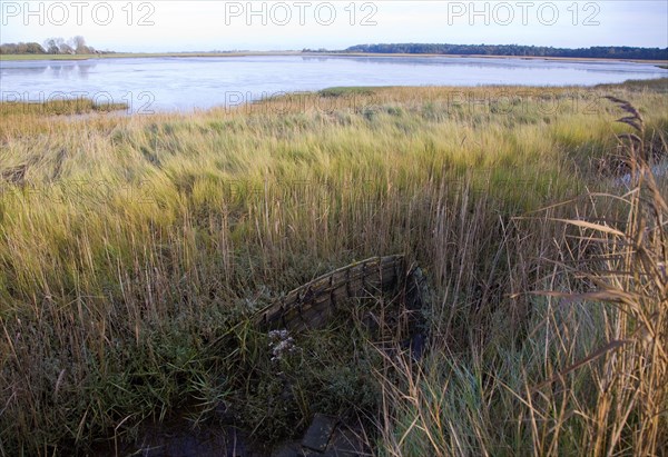 Walberswick National Nature reserve wetland environment marshes Blythburgh, Suffolk, England, United Kingdom, Europe