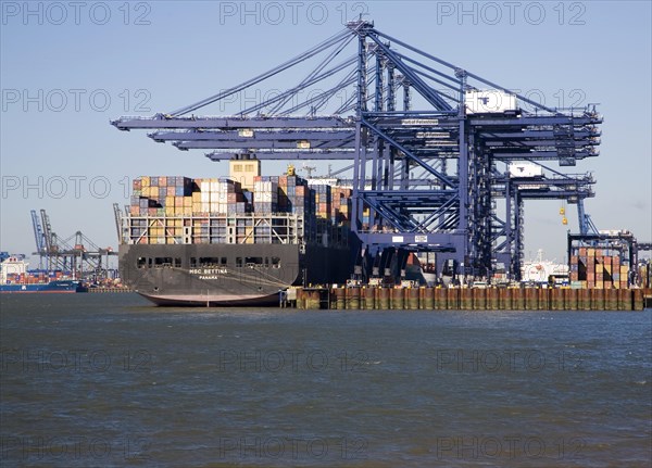 Container ship MSC Bettina and cranes at Port of Felixstowe, Suffolk, England, United Kingdom, Europe
