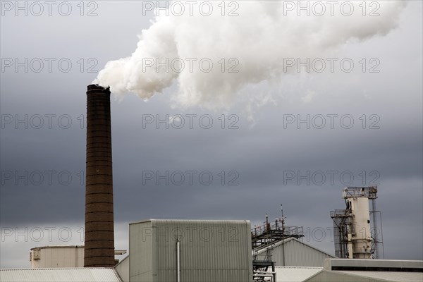 Steam rising from chimneys as sugar beet is processed at the British Sugar factory, Bury St Edmunds, Suffolk, England, United Kingdom, Europe