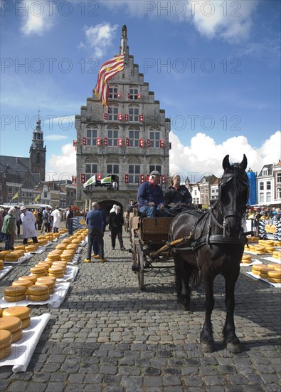 Gouda and cheese market, South Holland, Netherlands