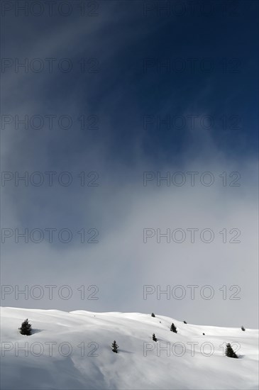 Winter landscape in the Beverin nature park Park, Graubuenden, Switzerland, Europe