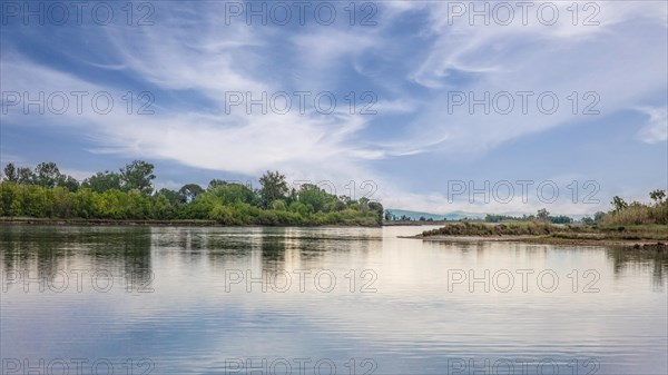 Isola della Cona, nature reserve, island of Grado, north coast of the Adriatic Sea, Friuli, Italy, Grado, Friuli, Italy, Europe