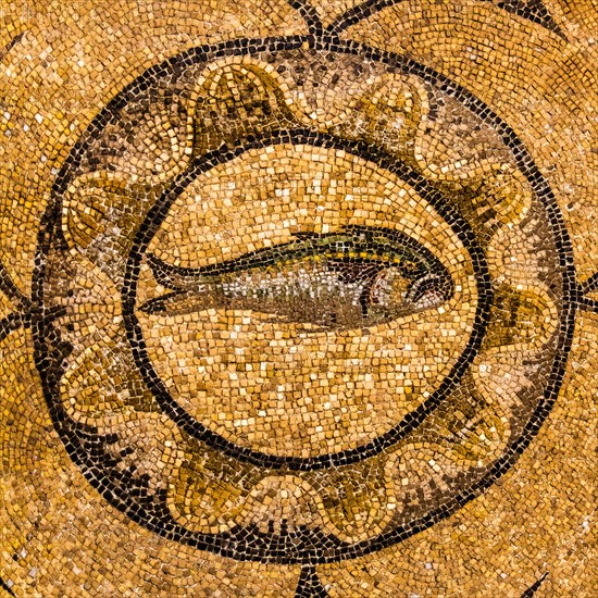 Basilica of Aquileia from the 11th century, largest floor mosaic of the Western Roman Empire, UNESCO World Heritage Site, important city in the Roman Empire, Friuli, Italy, Aquileia, Friuli, Italy, Europe