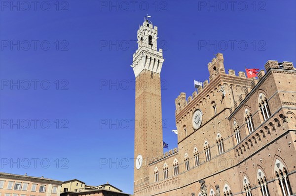 View of the Torre del Mangia bell tower, Siena, Tuscany, Italy, Europe