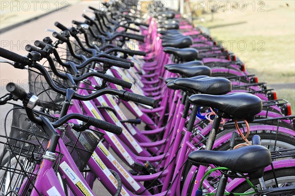 Rental bikes, Stazione Centrale di S. Maria Novella, Florence, Tuscany, Italy, Europe