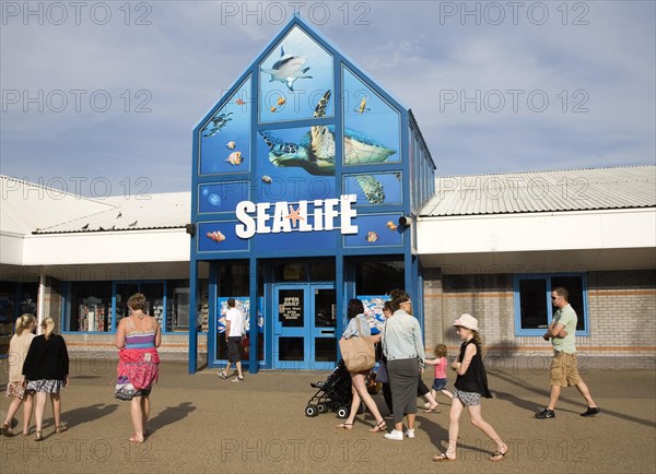 Sealife aquarium attraction, Great Yarmouth, Norfolk, England, United Kingdom, Europe