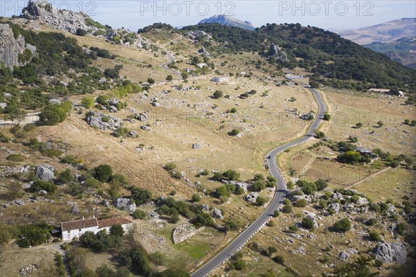 Road running through landscape in Sierra de Grazalema natural park, Cadiz province, Spain, Europe