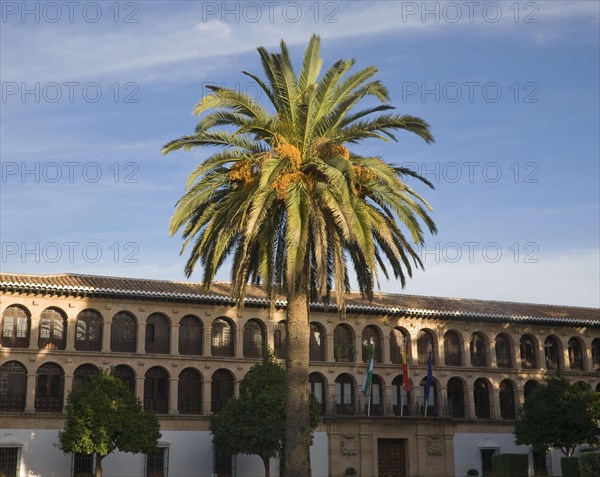 Ayuntamiento City Hall building built in 1734 Ronda, Malaga province, Spain, Europe