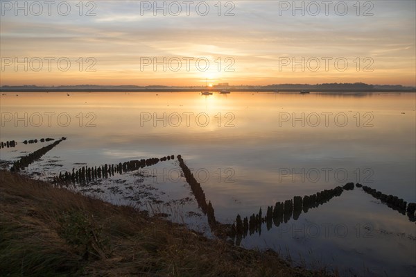 Winter landscape at sunset on the River Deben, Ramsholt, Suffolk, England, United Kingdom, Europe