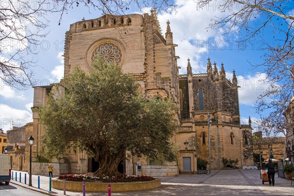 Church of Nostra Senyora dels Dolors, Manacor, Majorca, Spain, Europe