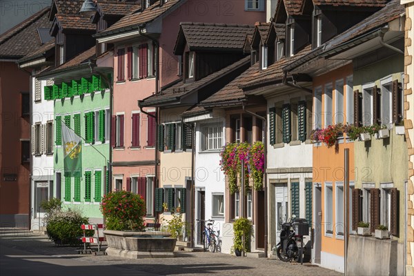 Old town of Dissenhofen on the Rhine, floral decoration, district of Frauenfeld, canton of Thurgau, Switzerland, Europe