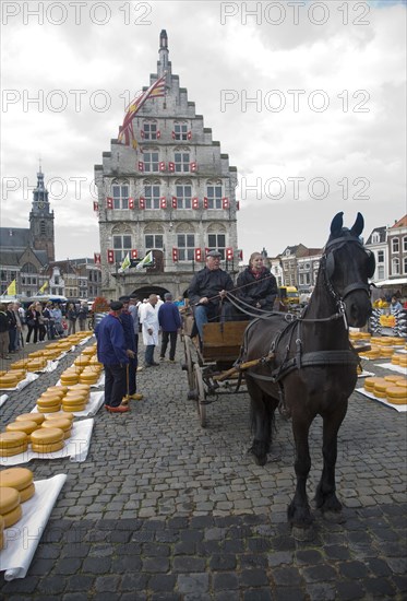 Gouda and cheese market, South Holland, Netherlands