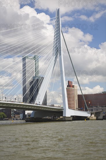 Erasmusbrug, Erasmus Bridge, spanning the River Maas, Rotterdam, Nethrlands