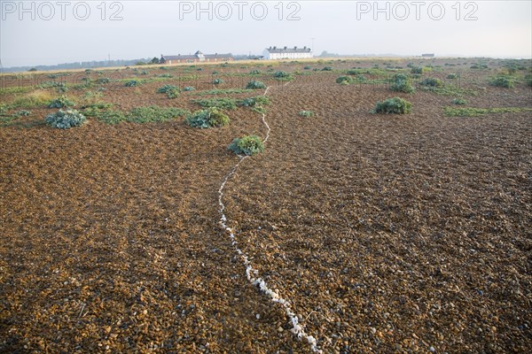 Line of white shells crossing beach to houses at the coastal hamlet of Shingle Street, North Sea coast, Suffolk, England, UK